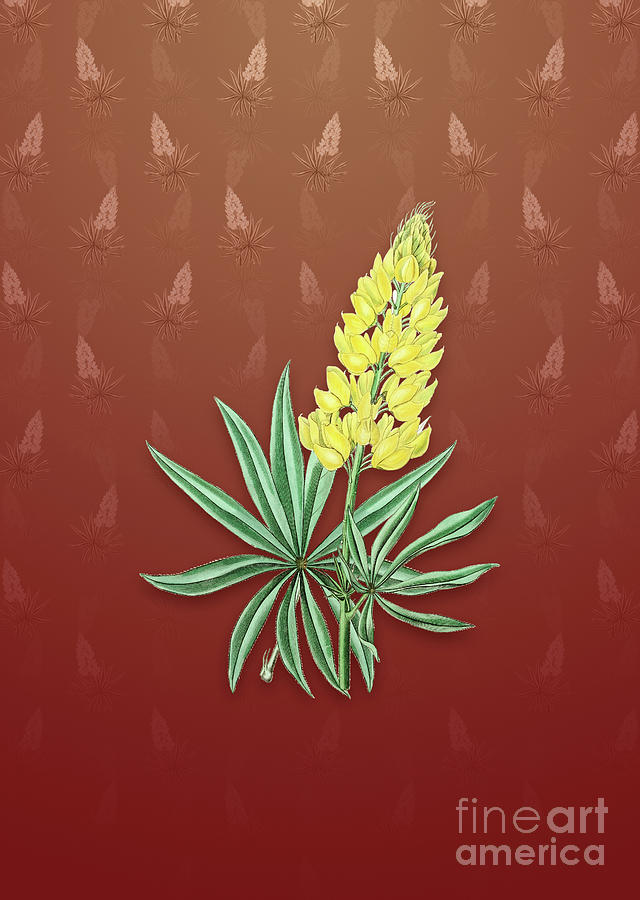 Vintage Yellow Perennial Lupine Botanical Art on Falu Red Pattern n.2584 Mixed Media by Holy Rock Design
