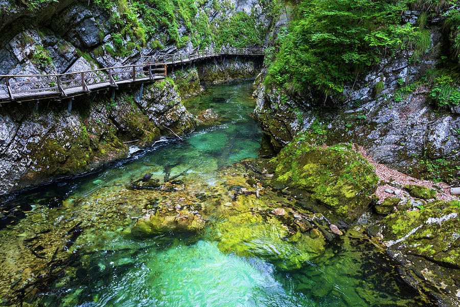 Vintgar Gorge Landscape In Slovenia Photograph by Artur Bogacki
