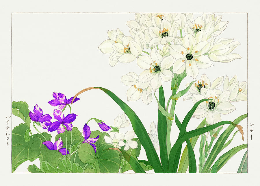 Violet and Scilla Flower 2 - Ukiyo e art - Vintage Japanese woodblock art - Seiyo SOKA ZUFU  Digital Art by Studio Grafiikka