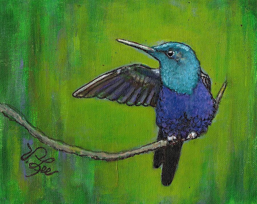 Violet-Bellied Hummingbird Painting by VLee Watson
