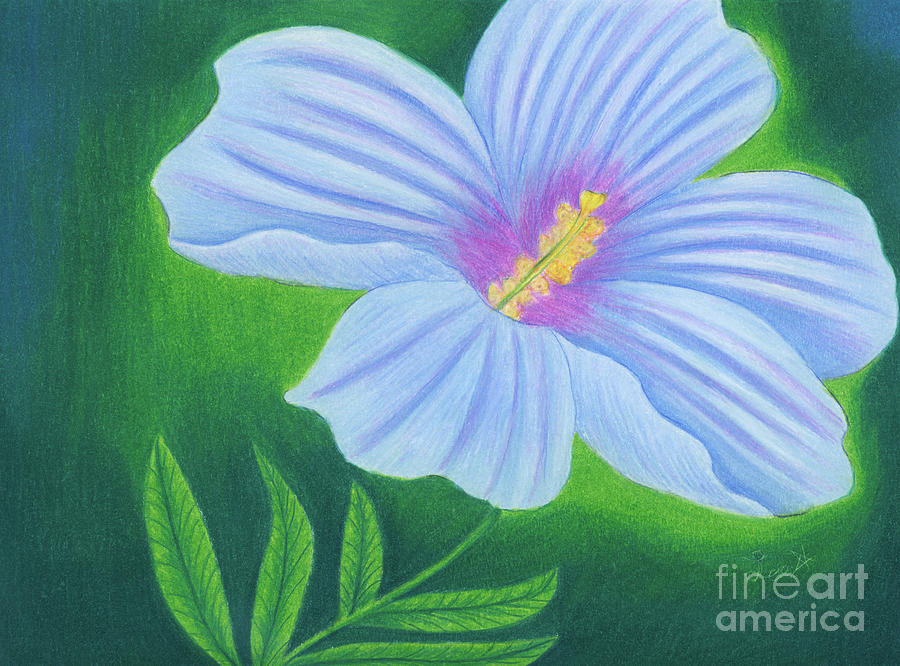 Violet Blue Hibiscus Flower Painting by Dorothy Lee