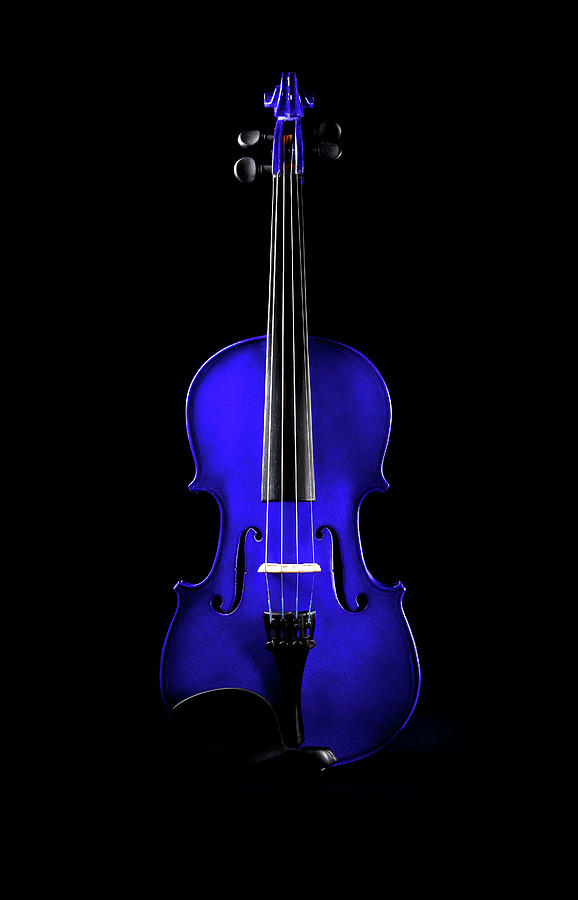 Violet Blue Violin Photograph Maggie - Fine America