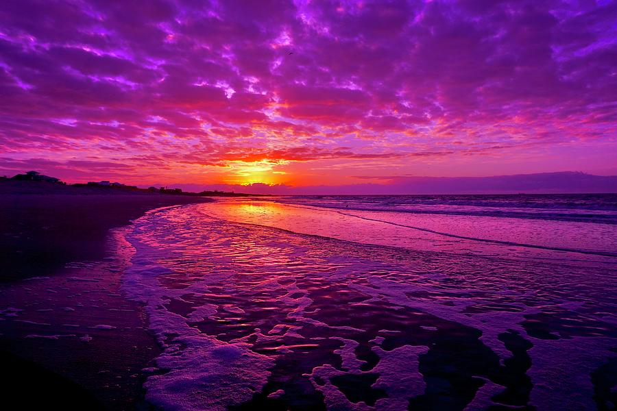 Violet Dawn Photograph by Summer Flowers Ricketts