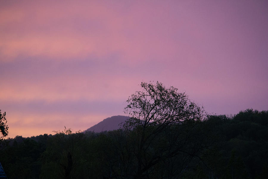Violet Hues of Vermont Photograph by Aggy Duveen
