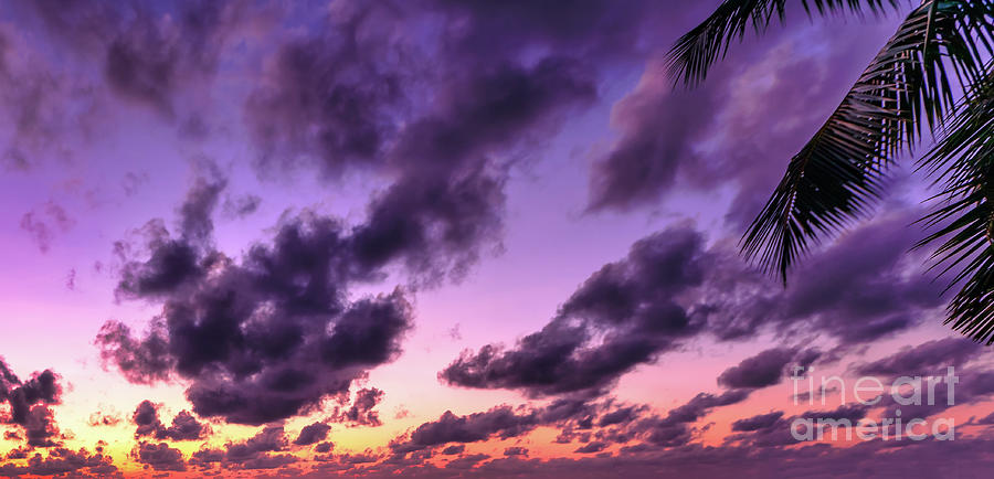 Violet Sunset Sky Background Photograph by Benny Marty