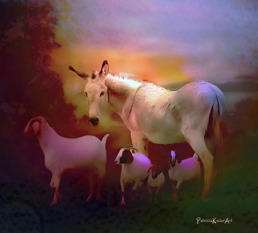 Goat Photograph - Violet, The Donkey, And Her Goats by Patricia Keller