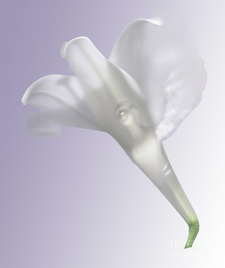 Violet Winged Woman in White Lily Photograph by Heather Kirk and Abundant Eight Creative