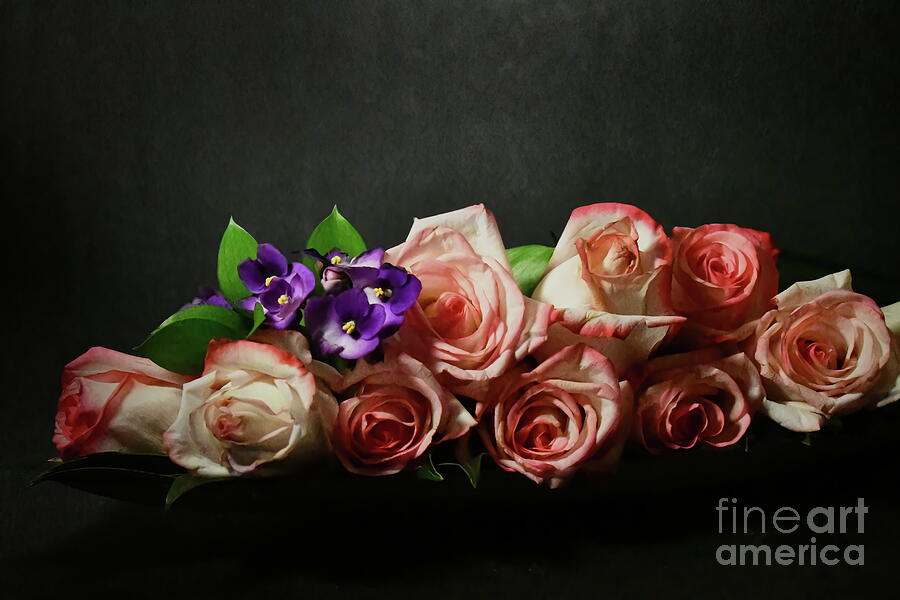 Violets and Pink Roses Photograph by Diana Mary Sharpton