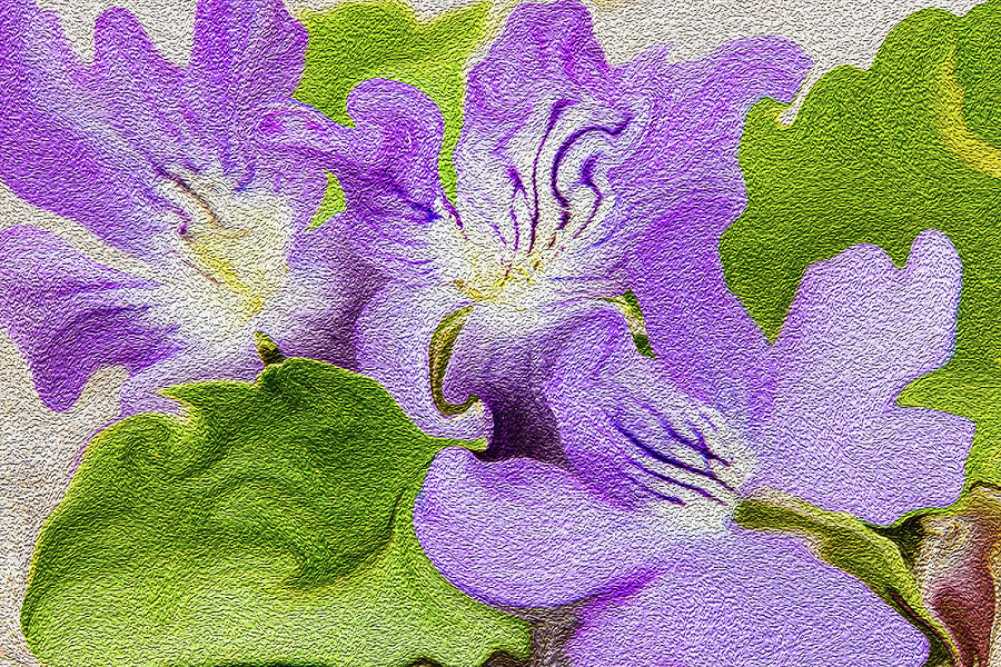 Violets flowers Photograph by Cristina Stefan
