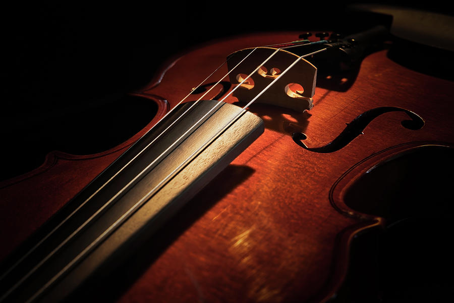 Violin 1 Photograph by Bill Chizek