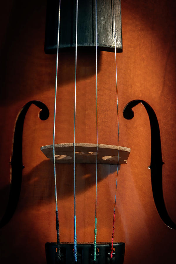 Violin 2 Photograph by Bill Chizek