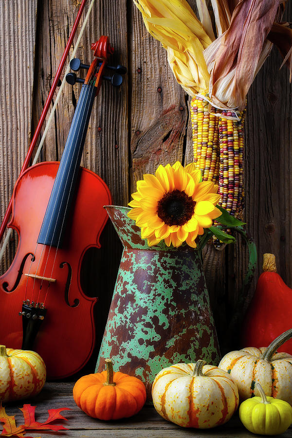Violin And Old Pitcher Photograph by Garry Gay
