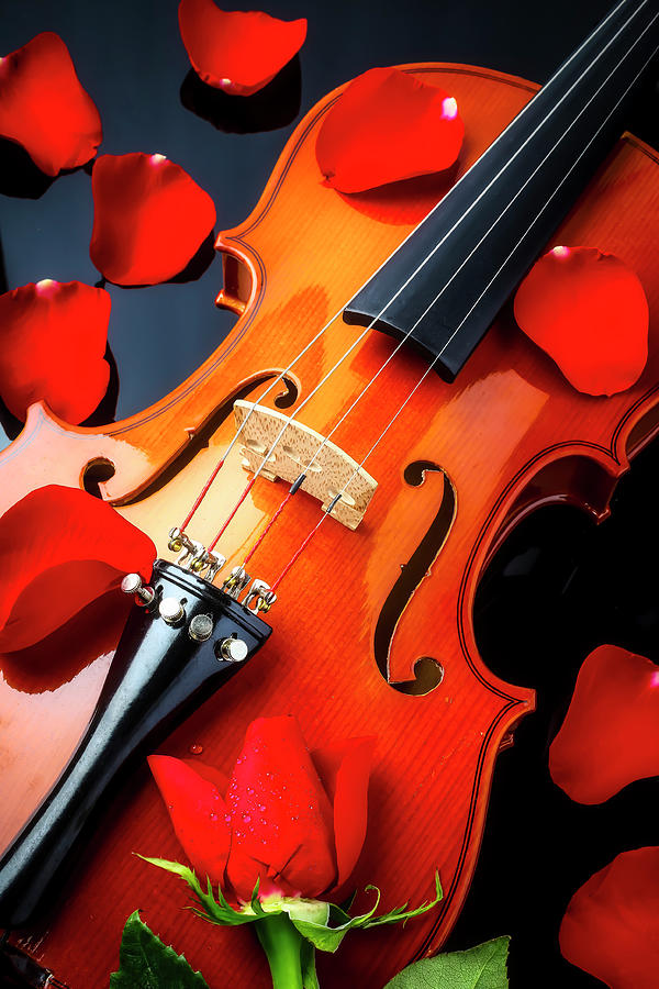 Violin And Rose Petals Photograph by Garry Gay