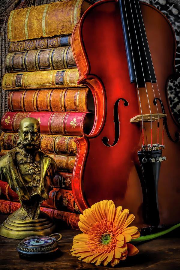 Violin And Stack Of Books Photograph by Garry Gay