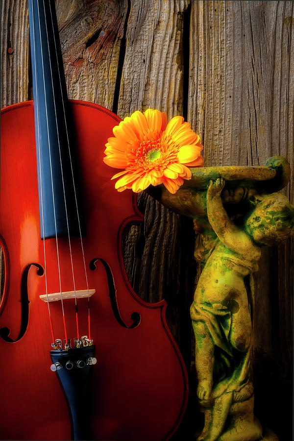 Violin Photograph - Violin And Statue by Garry Gay