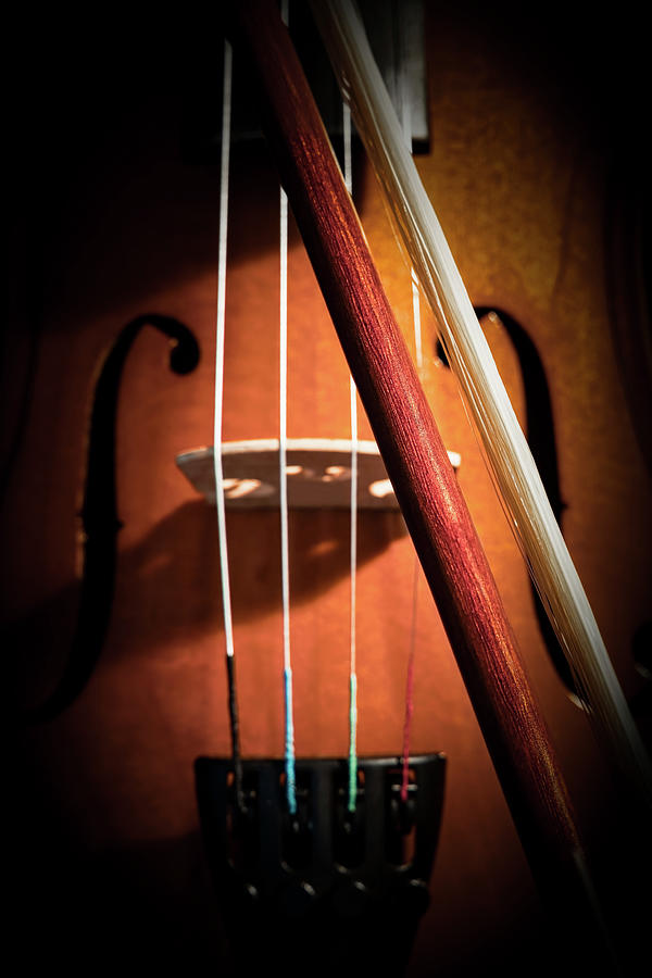 Violin Bow Photograph by Bill Chizek