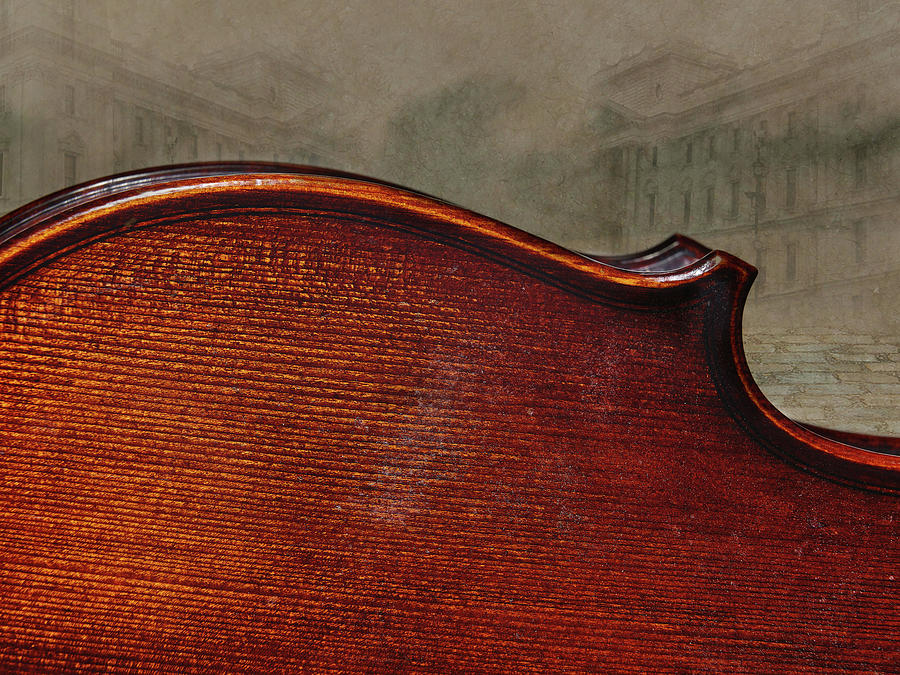 Violin Close Up in Color 102.2057 Photograph by M K Miller