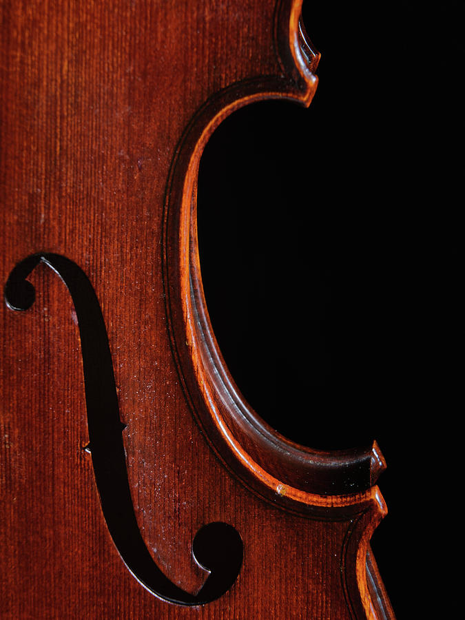 Violin Close Up in Color 120.2057 Photograph by M K Miller