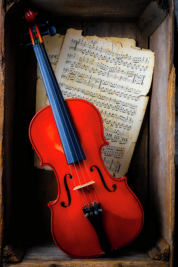 Violin In A Box Photograph by Garry Gay