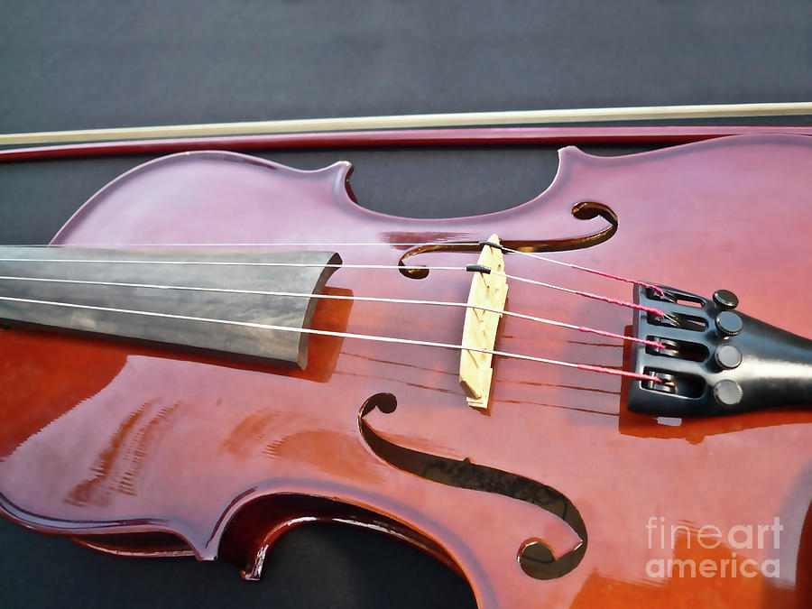 Violin Music_001 Photograph