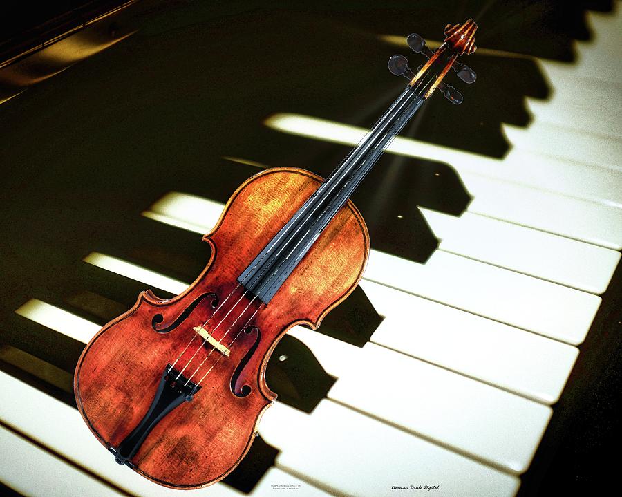 Violin Digital Art by Norman Brule
