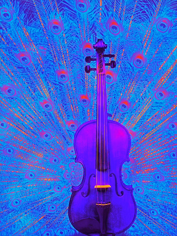 Violin Peacock Digital Art by Lisa Soots