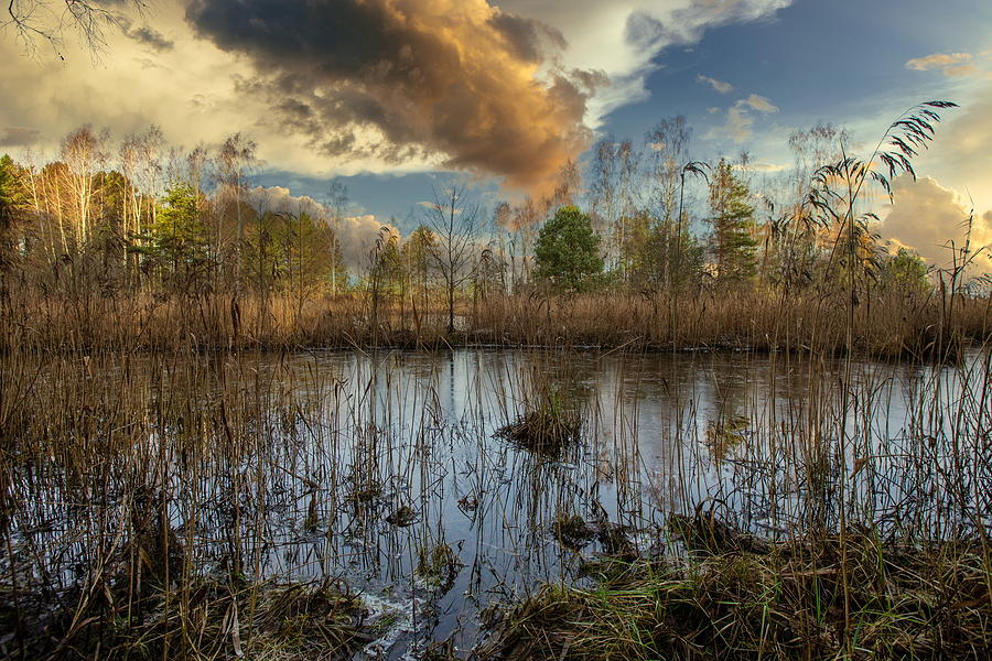Virgin Beauty of River Latvia  Photograph by Aleksandrs Drozdovs