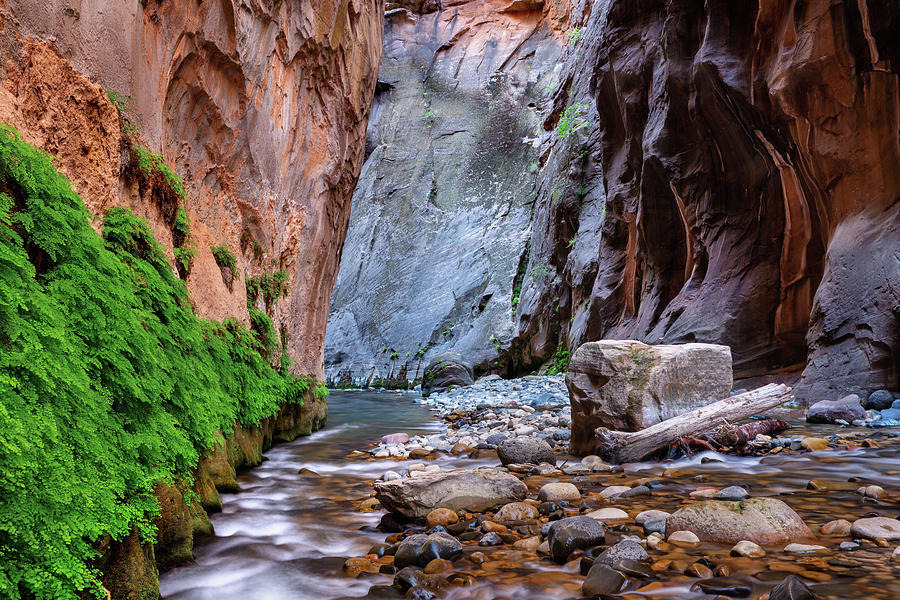 Virgin Narrows Photograph By Alex Mironyuk - Fine Art America