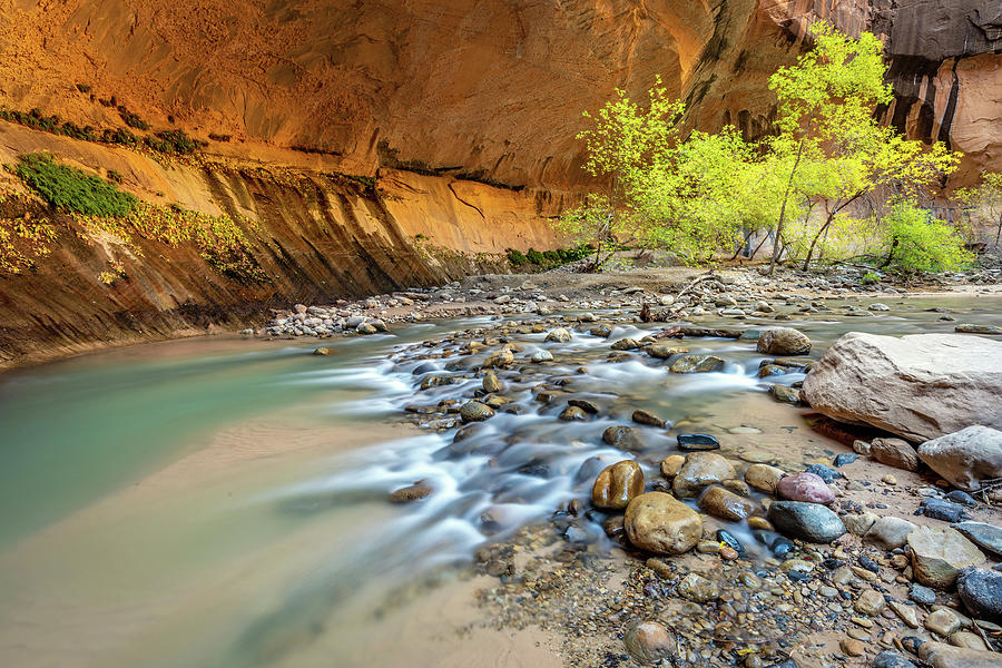 Virgin Narrows of Zion Photograph by Pierre Leclerc Photography