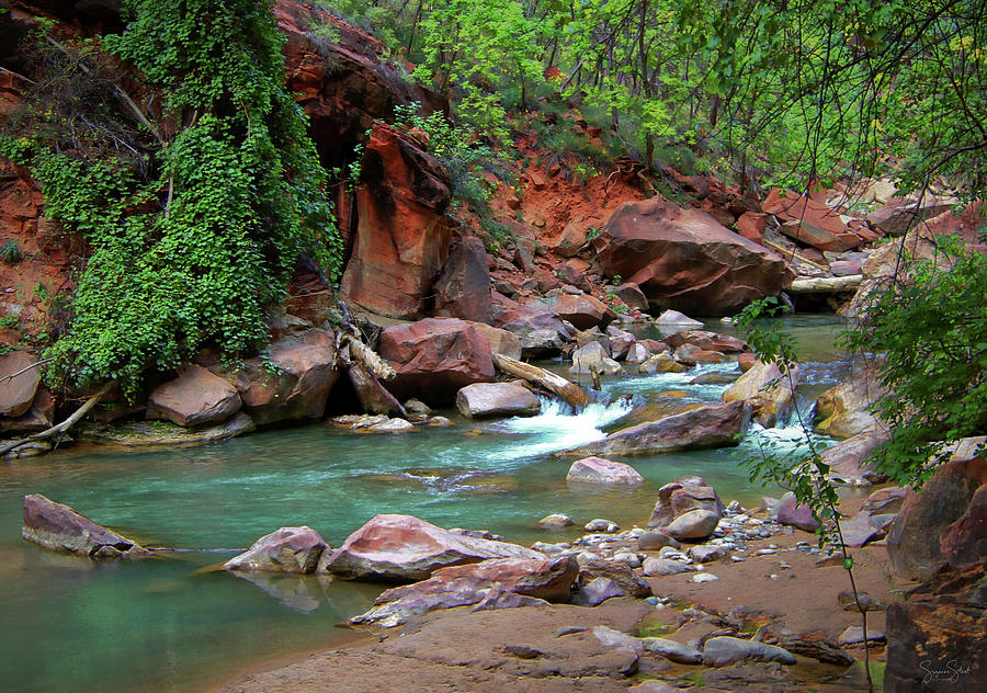 Virgin River Emerald Stream Photograph by Suzanne Stout