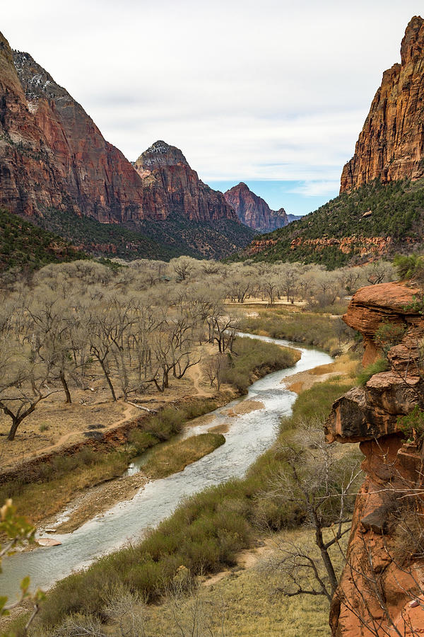 Virgin River in Zion Canyon Photograph by David L Moore