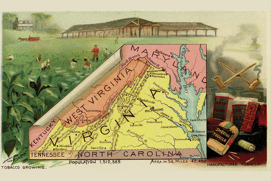 Map Drawing - Virginia by Arbuckle Brothers