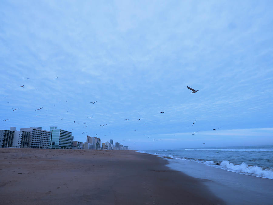 Virginia Beach - From Waves To Boardwalk Photograph