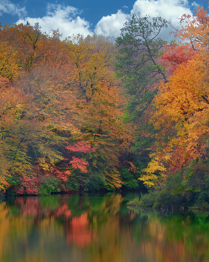 Virginia Fall Photograph by Jim E Johnson