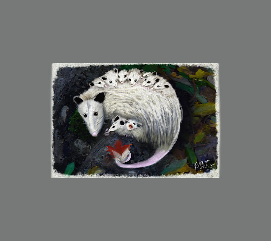 Virginia Opossum Mama Digital Art by Lisa Redfern
