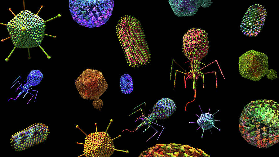 Virus Dance Digital Art by Russell Kightley