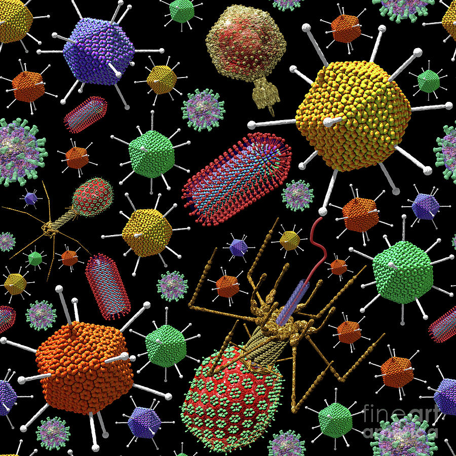 Virus Ocean Christmas Coloured Viruses Digital Art by Russell Kightley