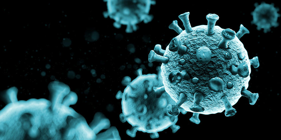 Virus on Black Background Photograph by Fotograzia