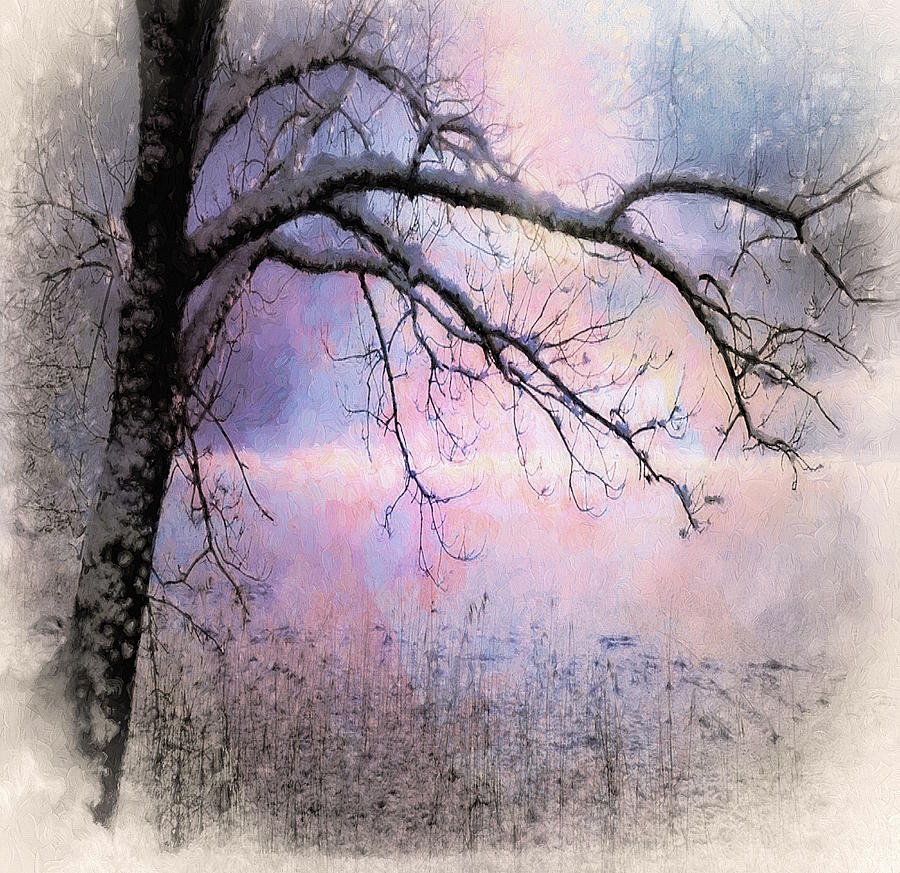 Visions of a Winters Glow Digital Art by Don DePaola