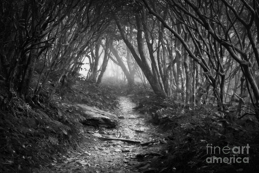 Visit To The Appalachian Trail Black And White Mixed Media by Sandi OReilly