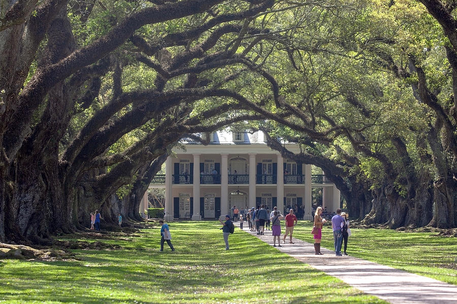 Visiting Oak Alley Plantation Photograph by Art Block Collections