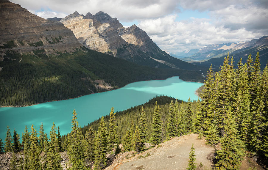 Visiting Peyto Photograph by Kristopher Schoenleber - Fine Art America