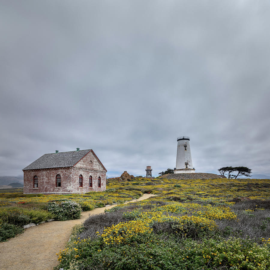 Visiting Piedras Blancas Lighthouse Photograph by Lars Mikkelsen