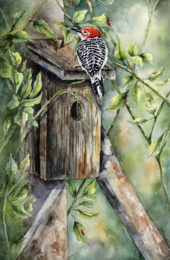 Visiting-Red Bellied Woodpecker Painting by Mary McCullah