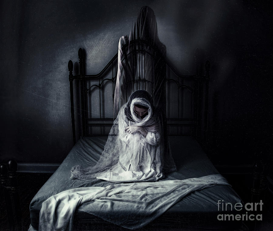 Bed Photograph - Visitor by Spokenin RED