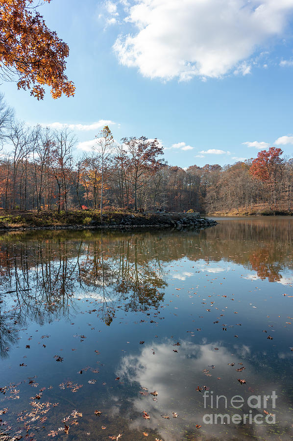 Visitors enjoy the autumn scene at Lake Needwood, a park in Rock Photograph by William Kuta