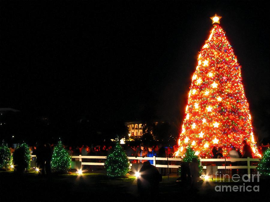 Visitors view the Christmas trees on the Ellipse behind the White House in Washington DC USA Photograph by William Kuta