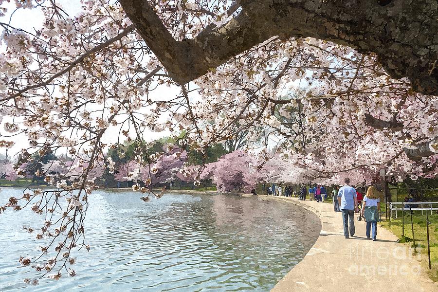 Visitors walk around the Tidal Basin cherry blossoms in Washington DC USA Photograph by William Kuta