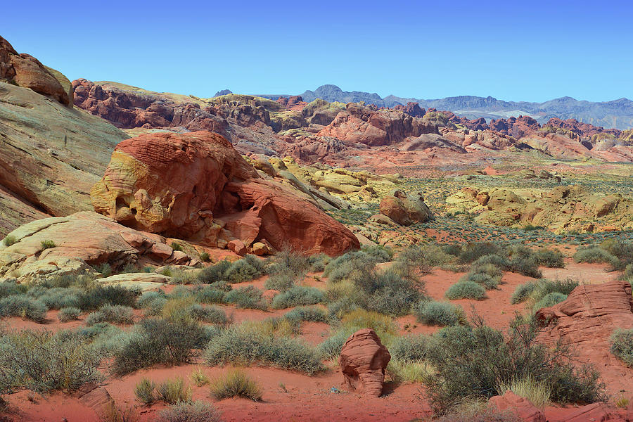 Vista In The Valley Of Fire, Nv Photograph