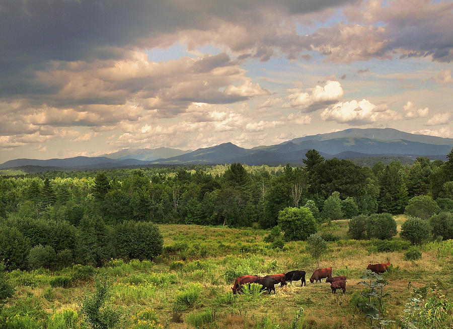 Vista View Vermont to New Hampshire Photograph by Nancy Griswold